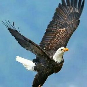 Meet your Posher, Beverley